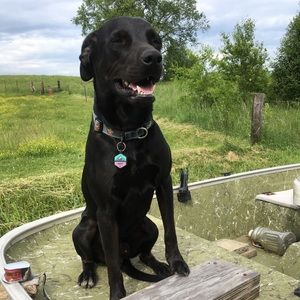 Meet your Posher, Brooke